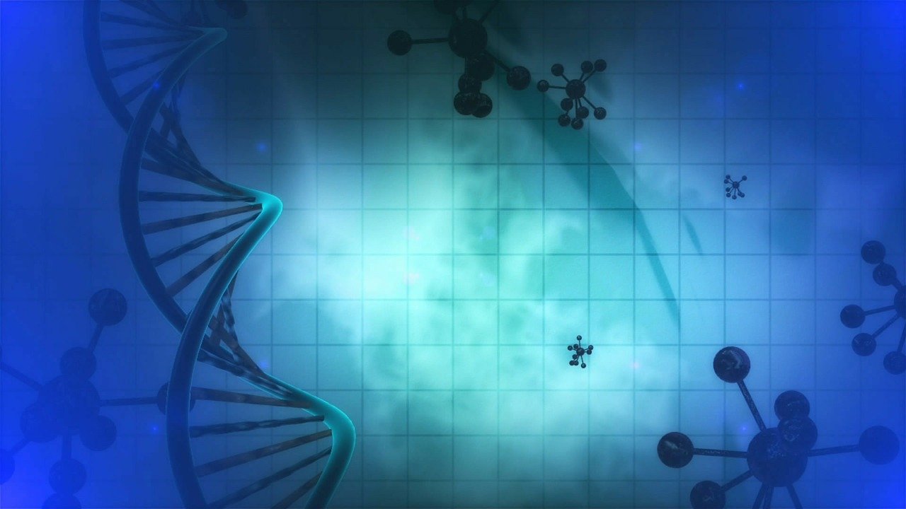 Лабаратории