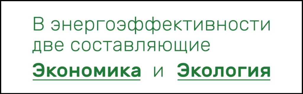 В энергоэффективности две составляющие - экономика и экология