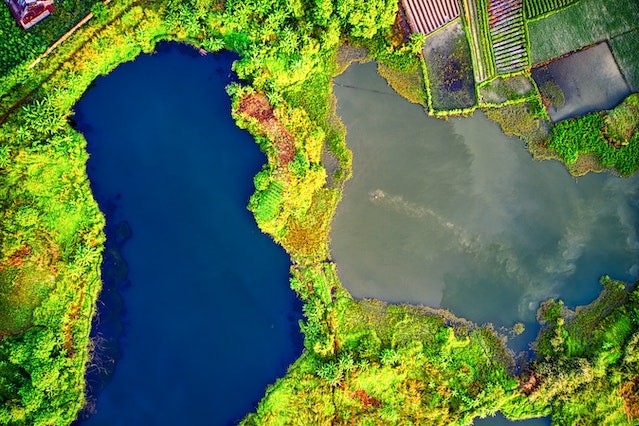 екологічний менеджмент